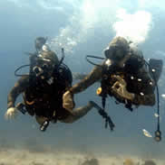 Two certified scuba divers underwater near Oslob